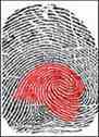 dmit fingerprint