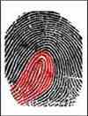 dmit fingerprint