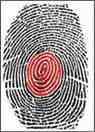 dmit fingerprint