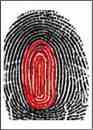 dmit fingerprint