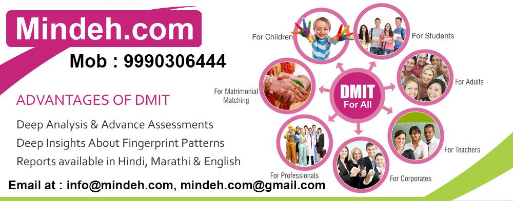 DMIT Test Reports